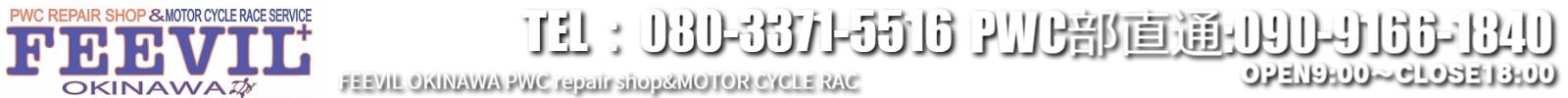 フィービル沖縄ロゴ